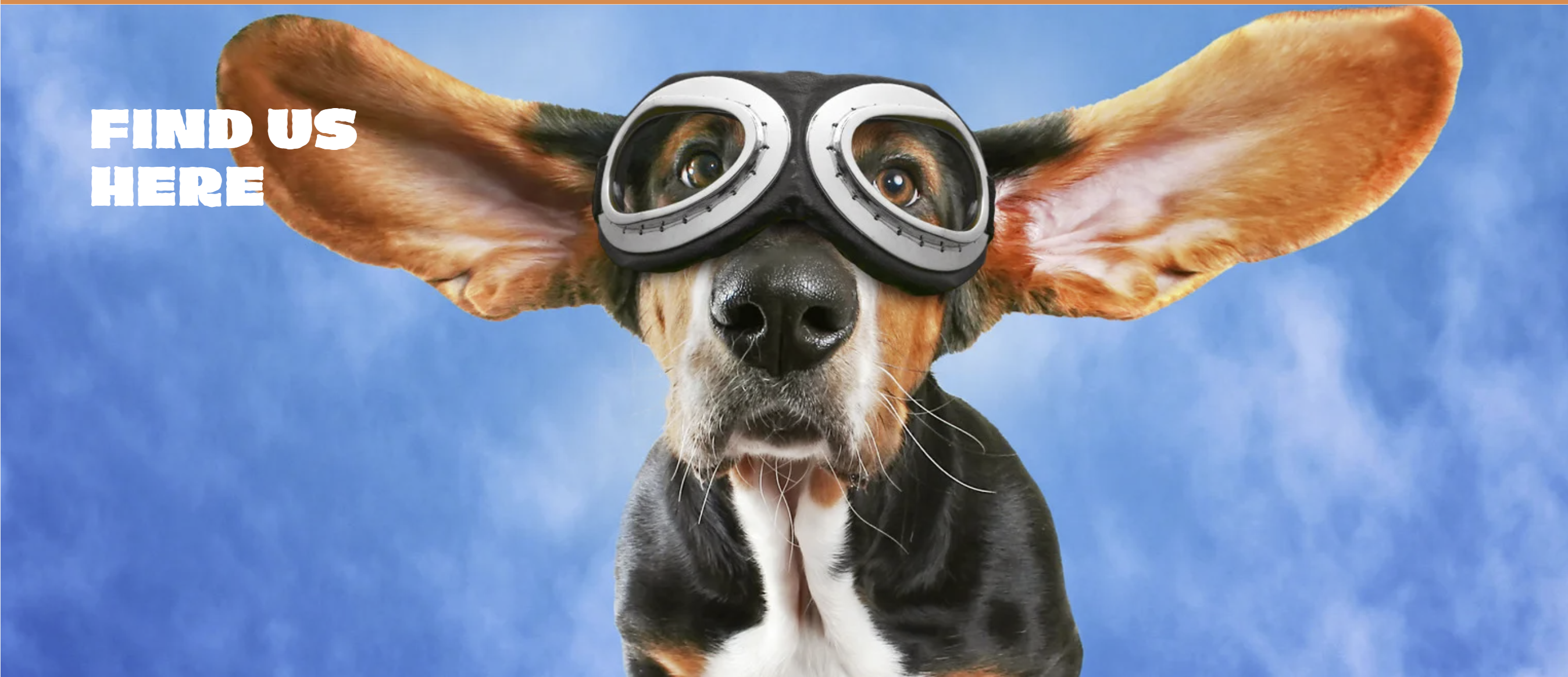 Cooper flying with goggles - Find us here